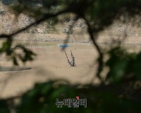 [영상] 갈라지는 소양강 위로 38년만에 드러난 수몰지 성황당나무