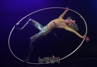 [영상] 8년만에 한국 찾는 '퀴담', 돌고돌아 한국이 마지막