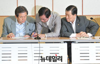 [포토] 대화 나누는 김무성 대표와 김영우 의원