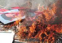 [포토] 불타는 인공기와 김정은 초상화