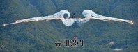 [포토] 육군항공사격대회, 플레어 발사하는 수리온 헬기