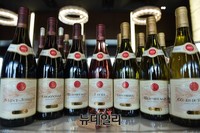 [포토] 론 와인 미니엑스포, 시음 기다리는 론 와인