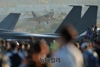 [포토] 착륙하는 F-22