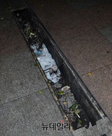 [포토] 뜯겨나간 보도블럭