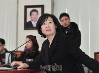 [포토] 발언하는 손혜원 새정치민주연합 홍보위원장