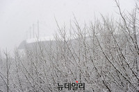 [포토] 눈 내리는 일요일