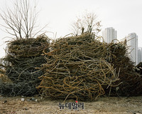 변해가는 도시를 사진으로 기록한 '시선의간극'展