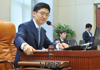 [포토] 의사봉 두드리는 정치발전특별위원회 김세연 위원장