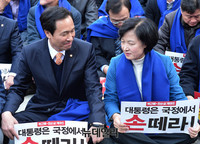 [포토] 아스팔트로 나온 더불어민주당