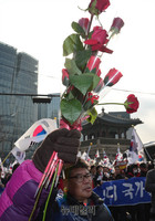 [포토] 박근혜 대통령에게 장미를..