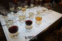 [포토] 한국소믈리에대회 2차예선, 테스트 와인 10종