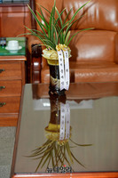 [포토] 홍준표 신임 대표에게 보낸 文대통령 축하난