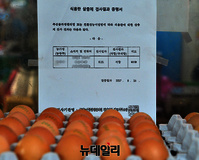 [포토] 살충제 검사결과 증명서 내건 계란 소매점