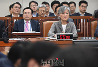 [포토] 외통위 출석한 강경화 외교부 장관