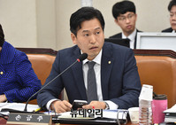 [포토] 증인신문 하는 국민의당 손금주 의원