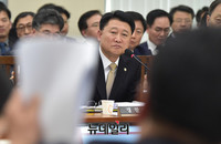 [포토] 의원들의 질문에 답변하는 이철성 경찰청장