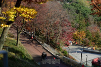 [포토] 밤 사이 기온 뚝...수능날 아침 영하권 추위