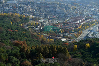 [포토] 남산에 남은 올 가을 마지막 단풍