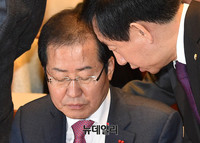 [포토] 대화 나누는 홍준표-김성태