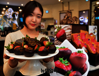 [포토] 딸기에 고디바 초코가 듬뿍  '초콜릿 딥트 스트로베리'