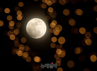 [포토] 왼쪽아래부터 개기월식 진행...육안으로 관측 가능