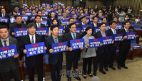 [포토] 더불어민주당 '국민투표법 즉각 개정하라'