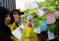 [포토] 세월호 추모 메시지 나무에 다는 청소년들