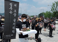 [포토] "정부는 개 도살 금지하라"