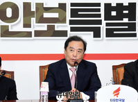 [포토] 김병준 "대북특사단, 지난번과 차이 없어"