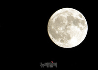 [포토] 한가위 보름달, 소원 비세요