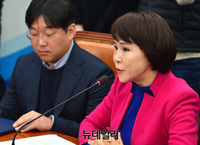 [포토] 발언하는 전현희 택시-카풀 TF 위원장