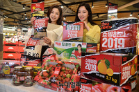 [포토] 홈플러스 창립 22주년 '쇼핑하라 2019' 특별전 진행