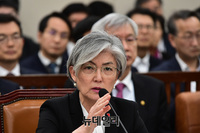 [포토] 답변하는 강경화 외교부장관