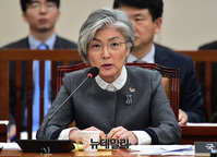 [포토] 답변하는 강경화 외교부장관