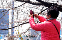 [포토] 봄과 함께 온 꽃샘추위