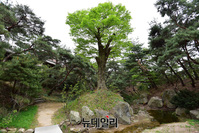 [포토] 성락원 용두가산, 용머리 모양의 인공산