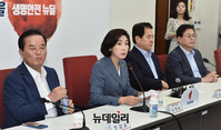 [포토] 한국당 원내대표·중진의원 연석회의, 발언하는 나경원