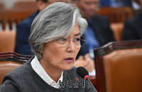 [포토] 국회 외통위 참석한 강경화 장관