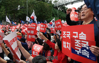[포토] '조국구속·법치수호' 외치는 시민들
