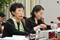 [포토] 국정감사 출석한 최영애 국가인권위원회 위원장