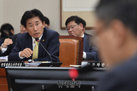 [포토] 질의에 답하는 박종문 헌법재판소 사무처장