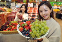 [포토] 롯데마트 "영양소 풍부한 과일로 건강 챙기세요" 