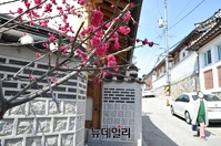 [포토] 봄꽃은 폈지만...한산한 북촌 한옥마을
