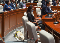 [포토] 국회 예결위장에 자리한 '김예지-조이'