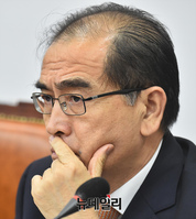 [포토] 외교안보특위 참석한 태영호 의원