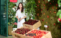 [포토] 손연재 "여름 제철과일 '체리' 드세요"