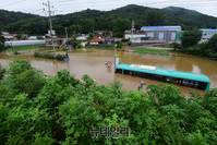 [포토] 임진강 수위 상승, 파주 파평면 시내버스 침수