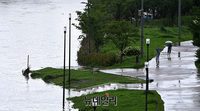 [포토] 태풍 '장미' 북상 앞두고 물에 잠긴 한강공원