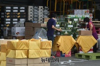 [포토] 추석연휴 앞두고 분주한 가락시장