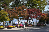 [포토] 단풍 펼쳐진 남산…가을 정취 물씬